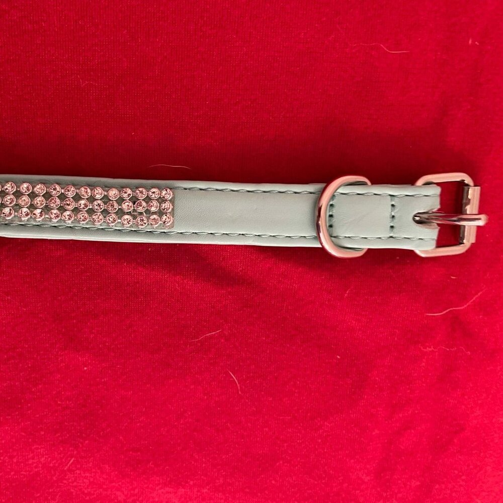 Small Dog Collar: Suede Rhinestone Collar, 9-11”